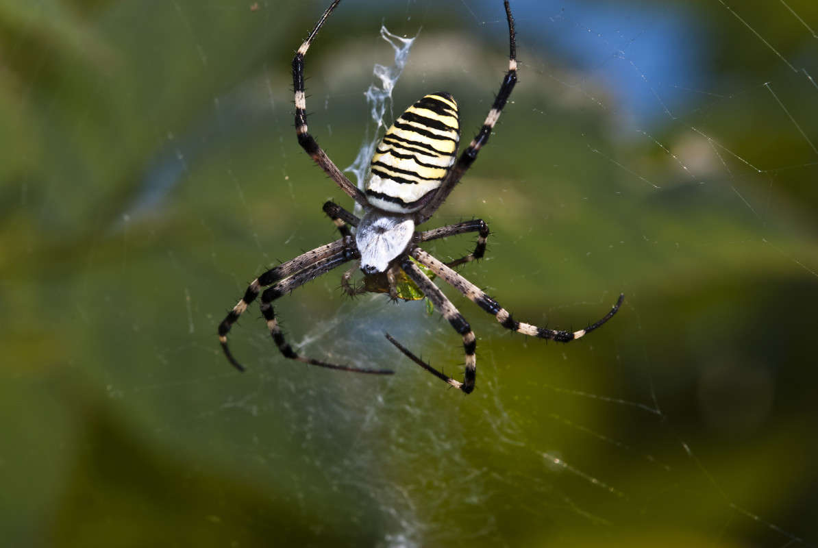 ������� ����� ����� ������� �� PhotoGeek.ru #�����