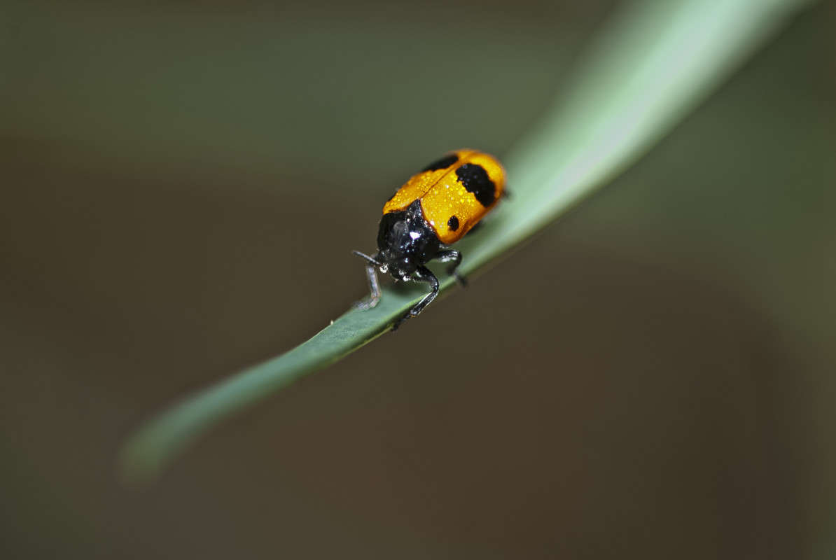 �� ���� ����� ����� ������� �� PhotoGeek.ru #�����