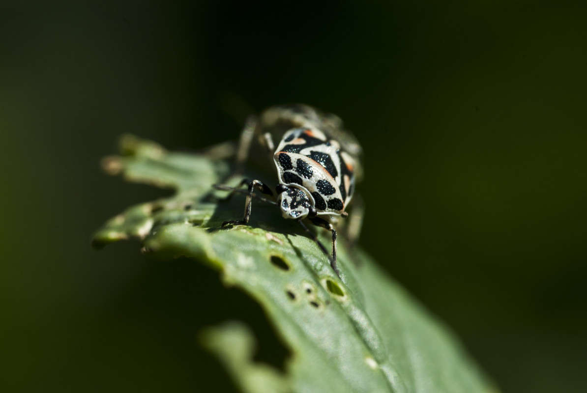 .....��������, ��������!!! ����� ����� ������� �� PhotoGeek.ru #�����