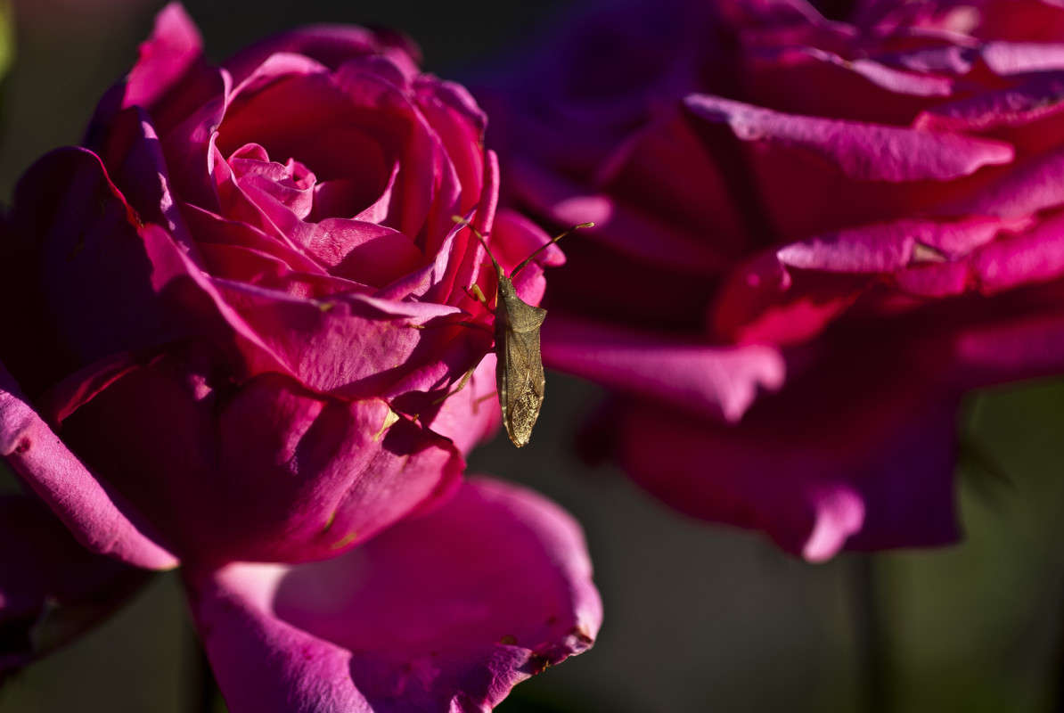 ����� ������ ������! ����� ����� ������� �� PhotoGeek.ru #�����