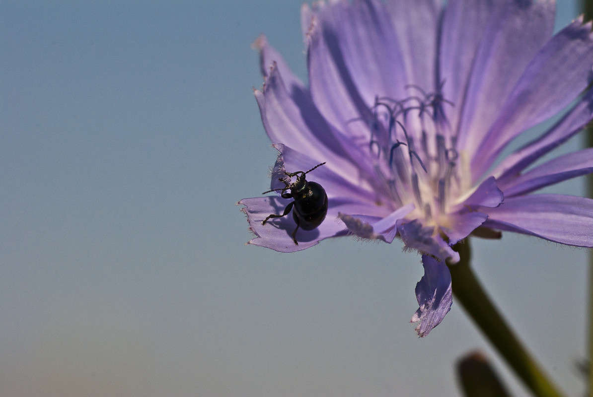 � ��� ���....? ����� ����� ������� �� PhotoGeek.ru #�����