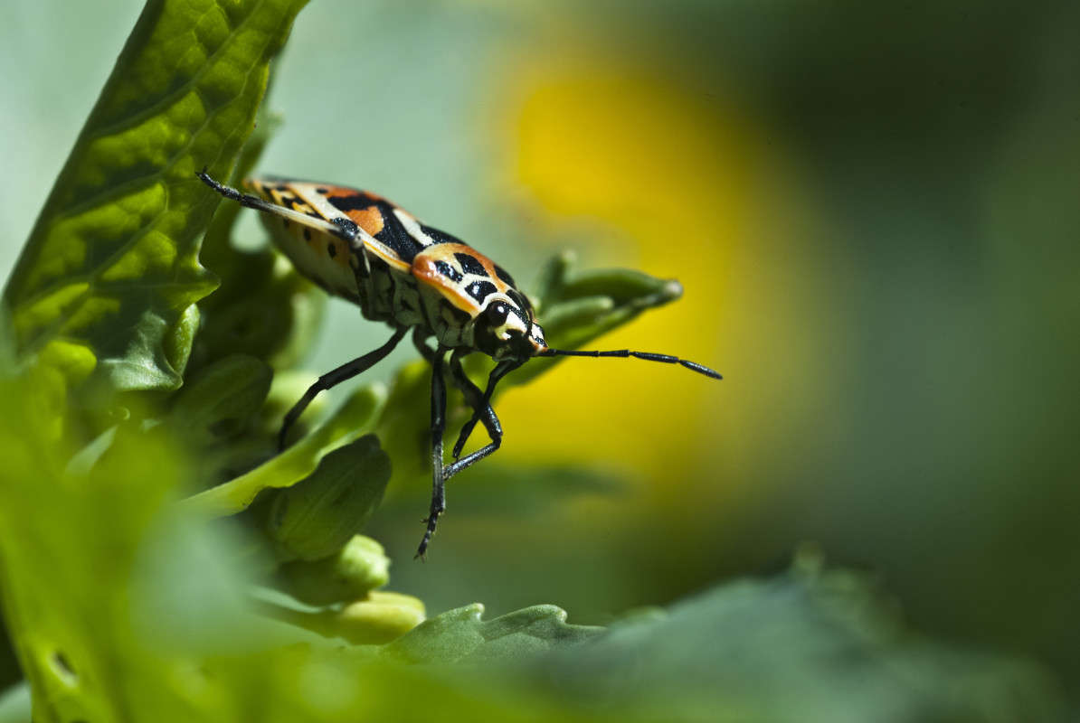 ٸ���� ����� ����� ������� �� PhotoGeek.ru #�����