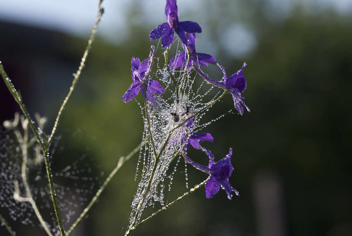 ����������� ����� ����� ����� ������� �� PhotoGeek.ru #�����