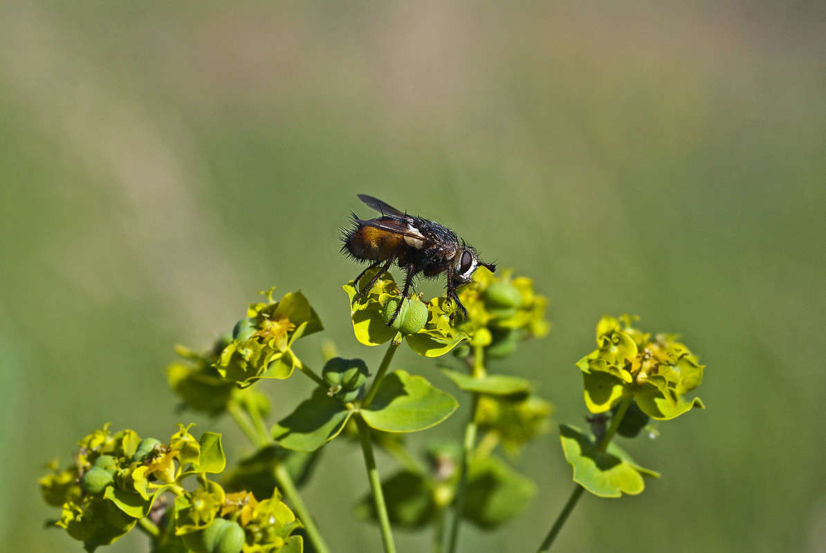 �������� ����� ����� ������� �� PhotoGeek.ru #�����