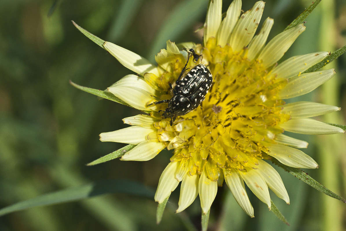 ������, ����� ��������? ����� ����� ������� �� PhotoGeek.ru #�����