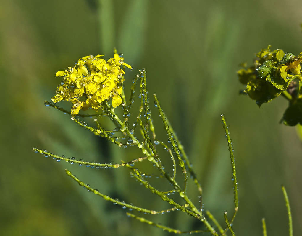 ����������� ����� ����� ����� ������� �� PhotoGeek.ru #�����