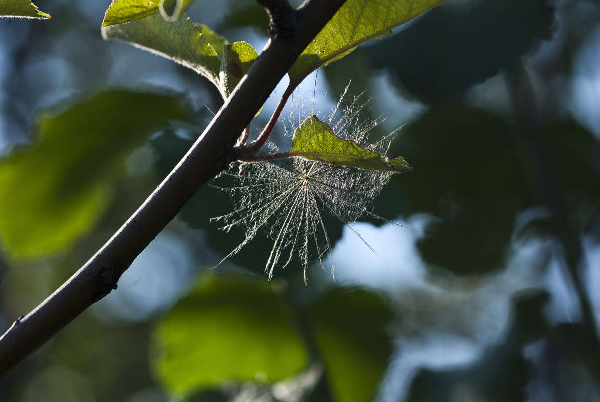 ����������� ����� ����� ������� �� PhotoGeek.ru #�����