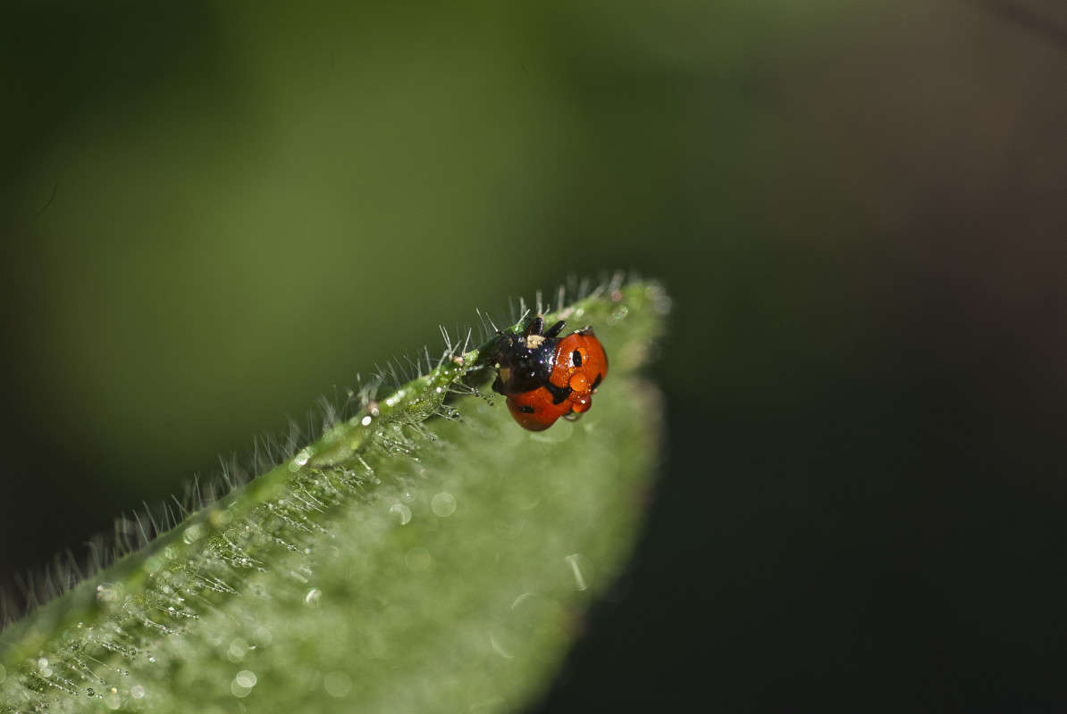 �� ���� ����� ����� ������� �� PhotoGeek.ru #�����