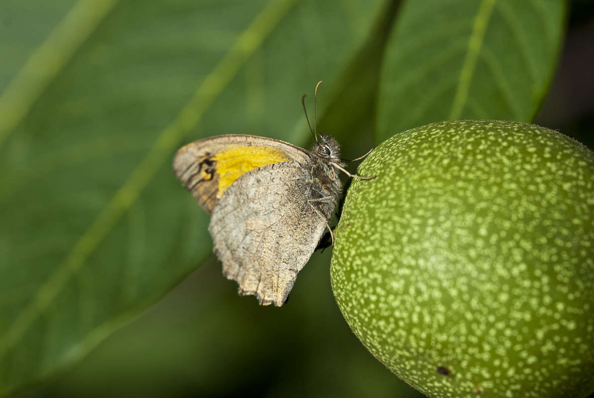 ....��� ��!!! ����� ����� ������� �� PhotoGeek.ru #�����