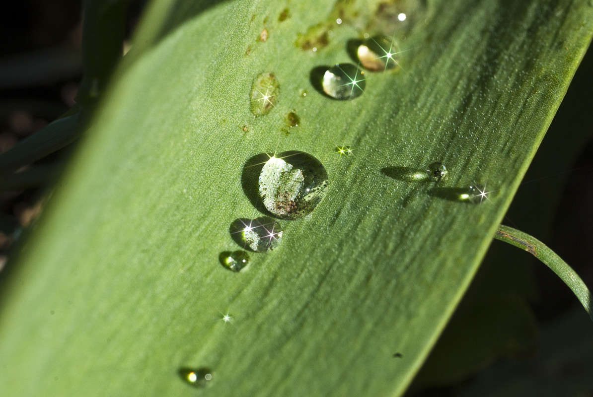 ����������� ����� ����� ����� ������� �� PhotoGeek.ru #������ ��� �������