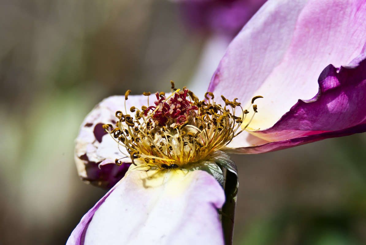 ����� ������� ����� ����� ������� �� PhotoGeek.ru #�����