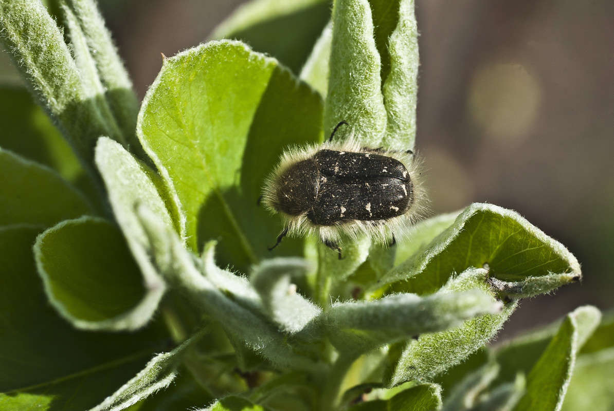 ��������� � ������ ����� ����� ������� �� PhotoGeek.ru #�����