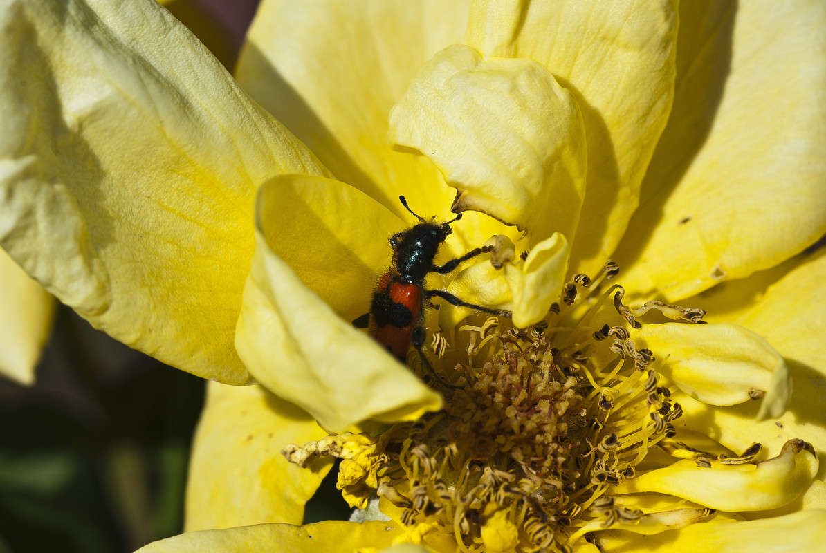 ������� ����� ����� ������� �� PhotoGeek.ru #�����