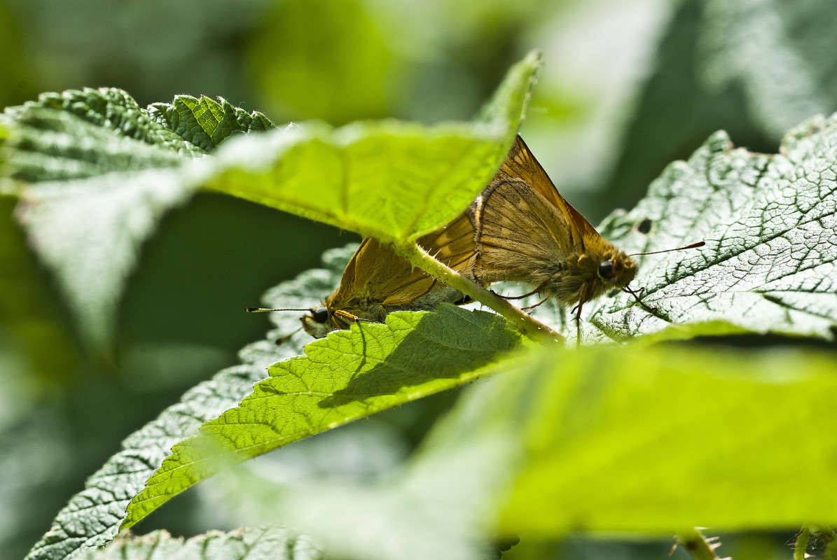 � �� �� ��� ��� ������? ����� ����� ������� �� PhotoGeek.ru #�����