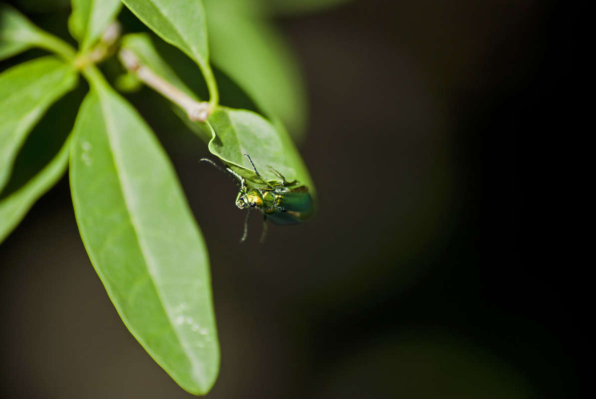 �, �� ���? ����� ����� ������� �� PhotoGeek.ru #�����