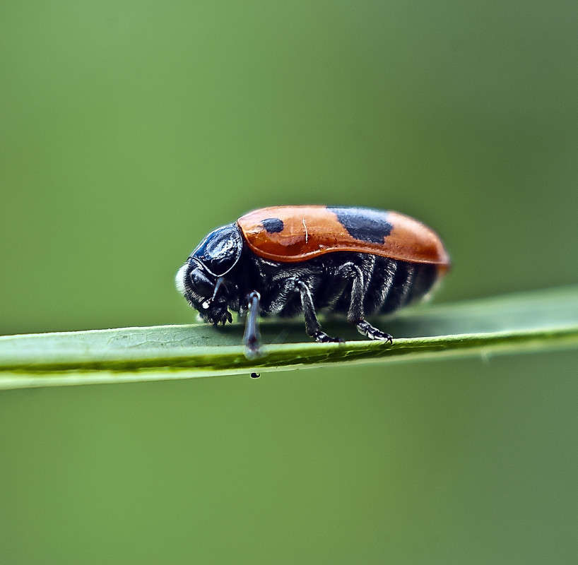 ������� ����� ����� ������� �� PhotoGeek.ru #�����