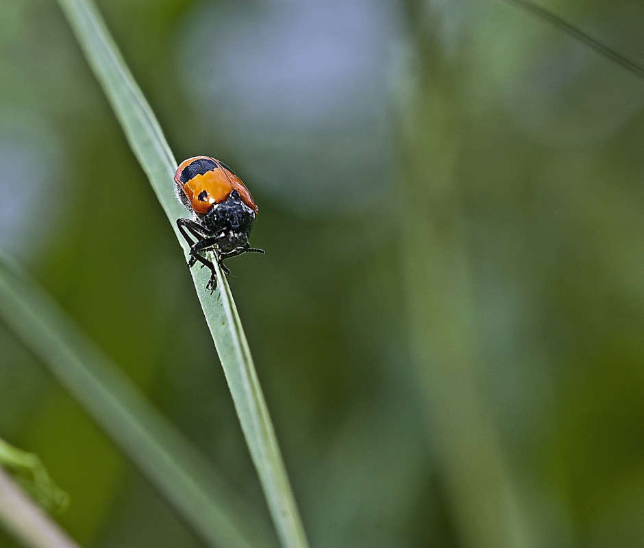 ���������� ����� ����� ������� �� PhotoGeek.ru #�����