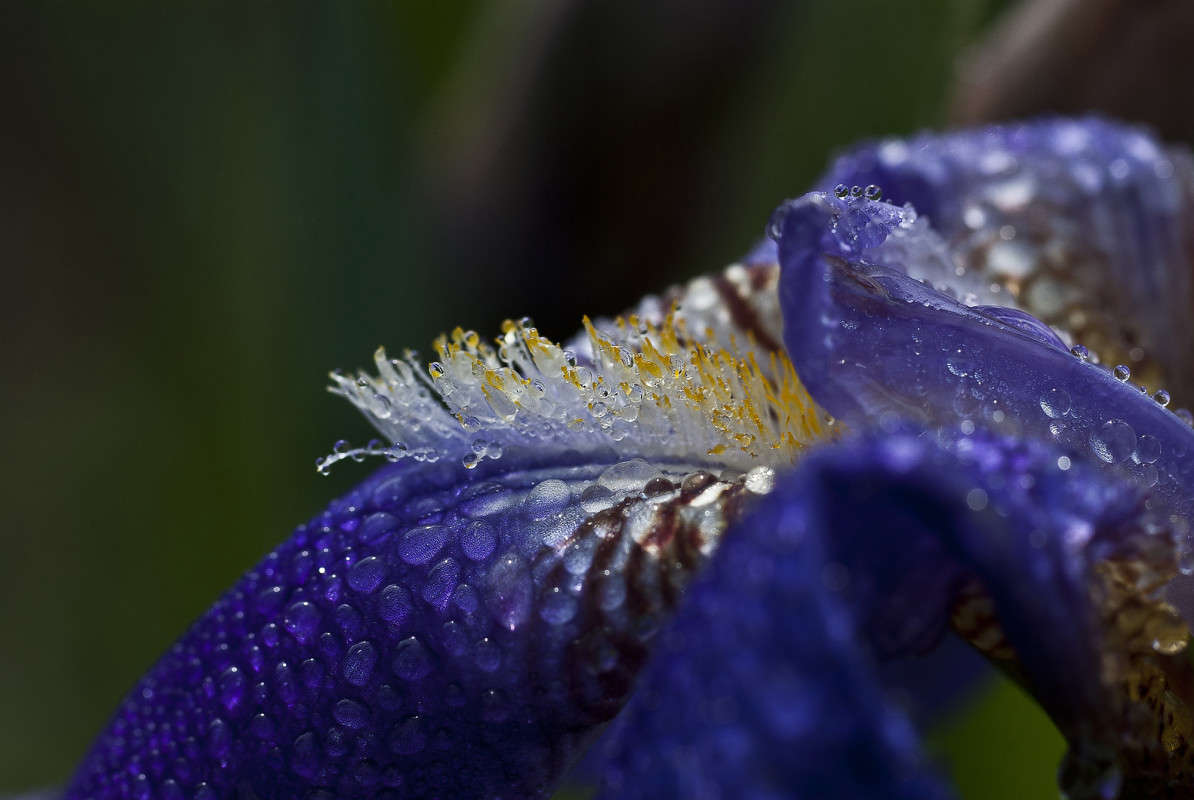 ����������� ����� ����� ����� ������� �� PhotoGeek.ru #�����