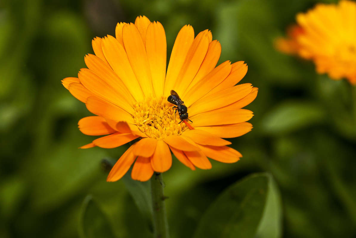 ������ ����� ����� ������� �� PhotoGeek.ru #�����