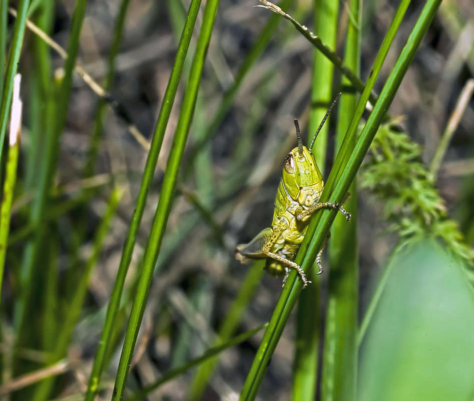 ������ ����� ����� ������� �� PhotoGeek.ru #�����