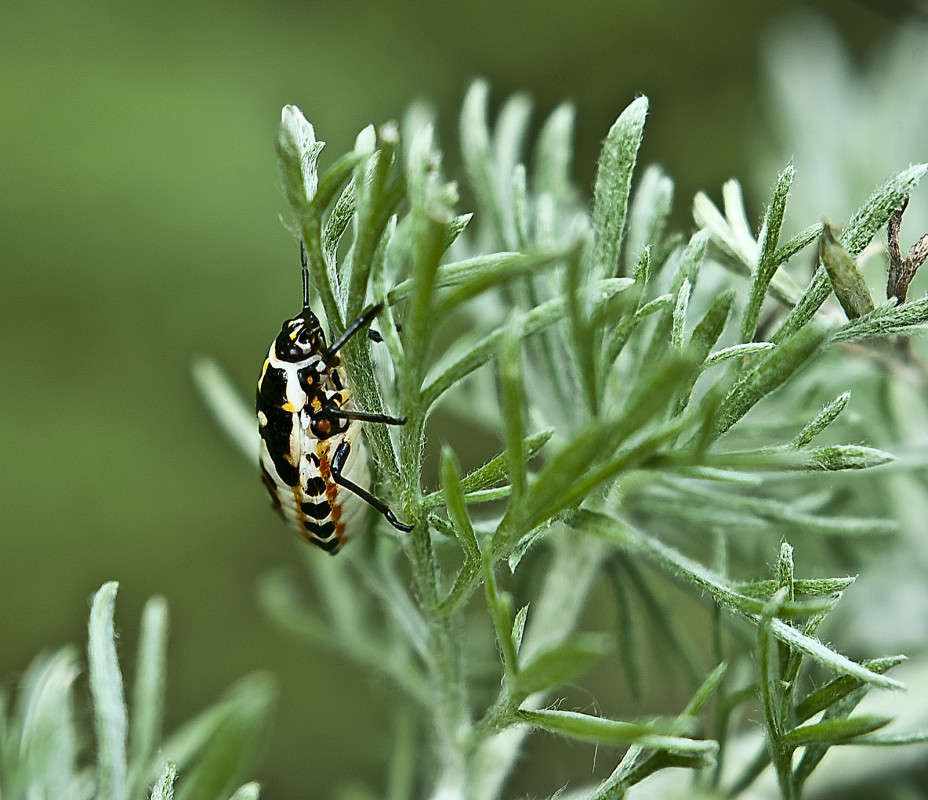 ����� ���� ����� ����� ������� �� PhotoGeek.ru #�����