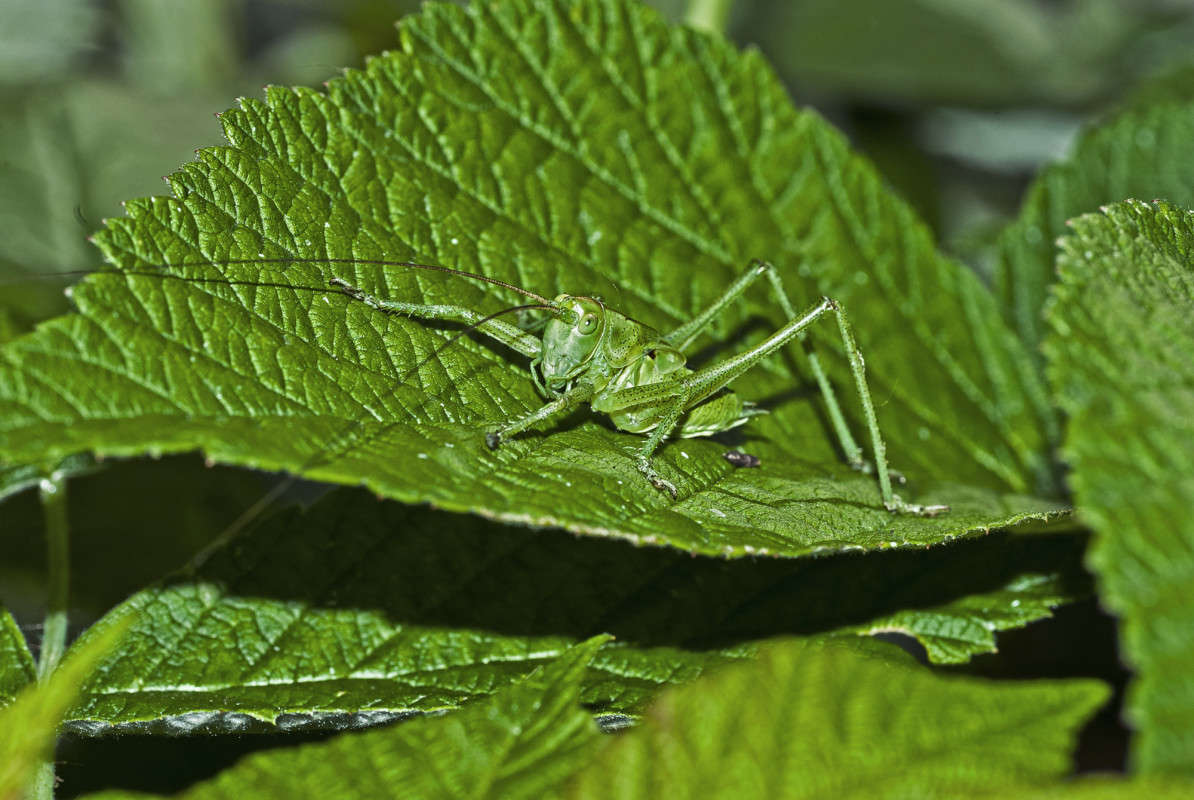 ������ ����� ����� ������� �� PhotoGeek.ru #�����