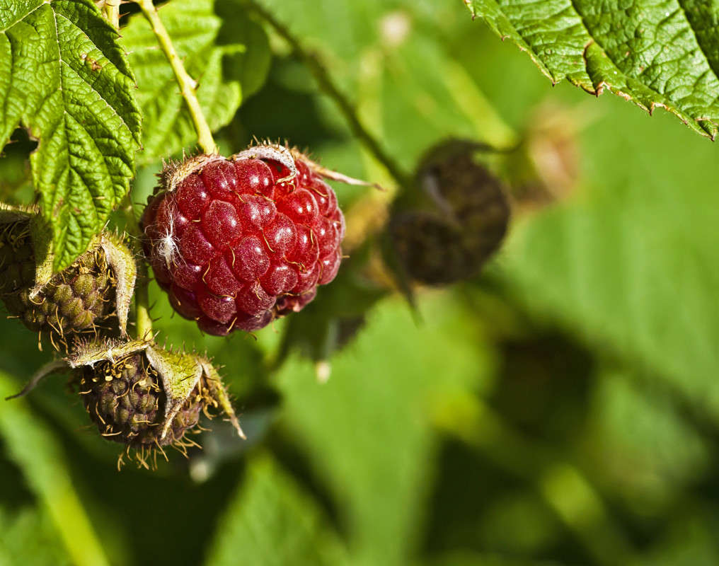 ��������� ����� ����� ������� �� PhotoGeek.ru #�����