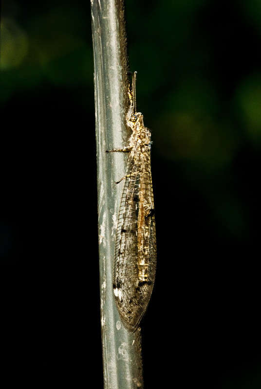 ����� ����� ����� ������� �� PhotoGeek.ru #�����