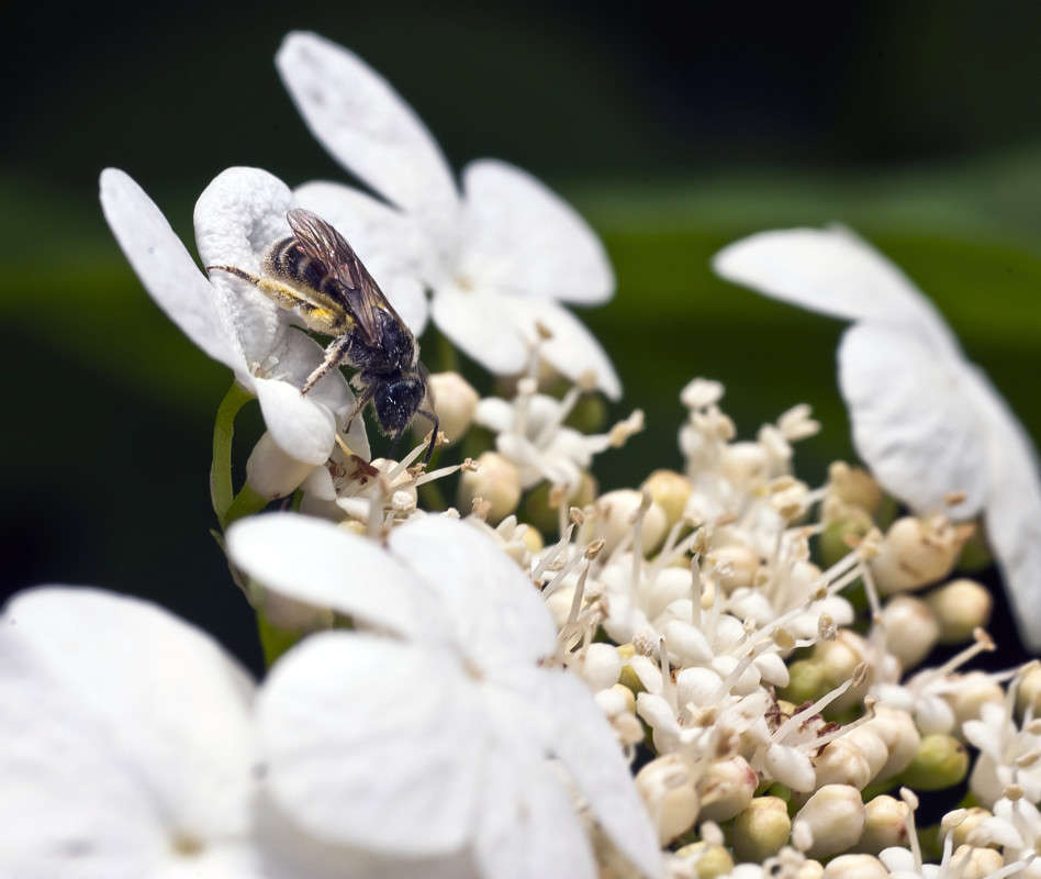 ���, �������... ����� ����� ������� �� PhotoGeek.ru #�����