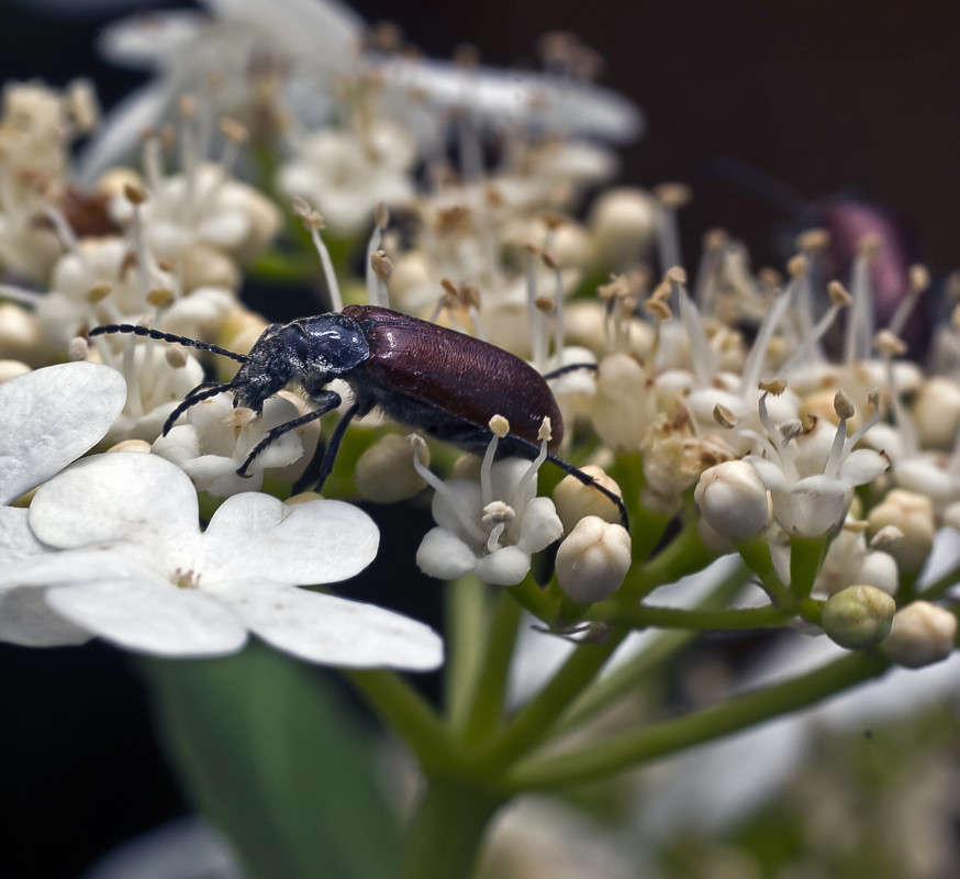 ����� �������� ����� ����� ������� �� PhotoGeek.ru #�����