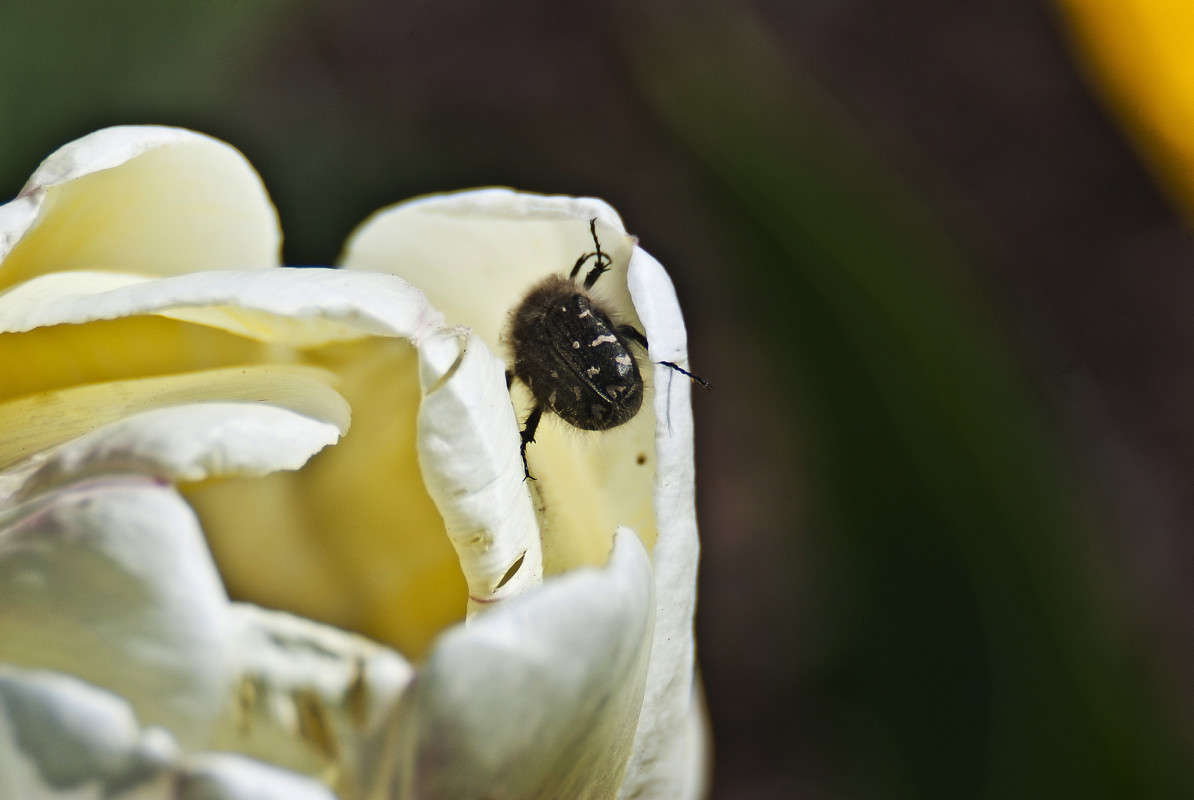 �� - �� - ��, �������, �������� ����� ����� ������� �� PhotoGeek.ru #�����