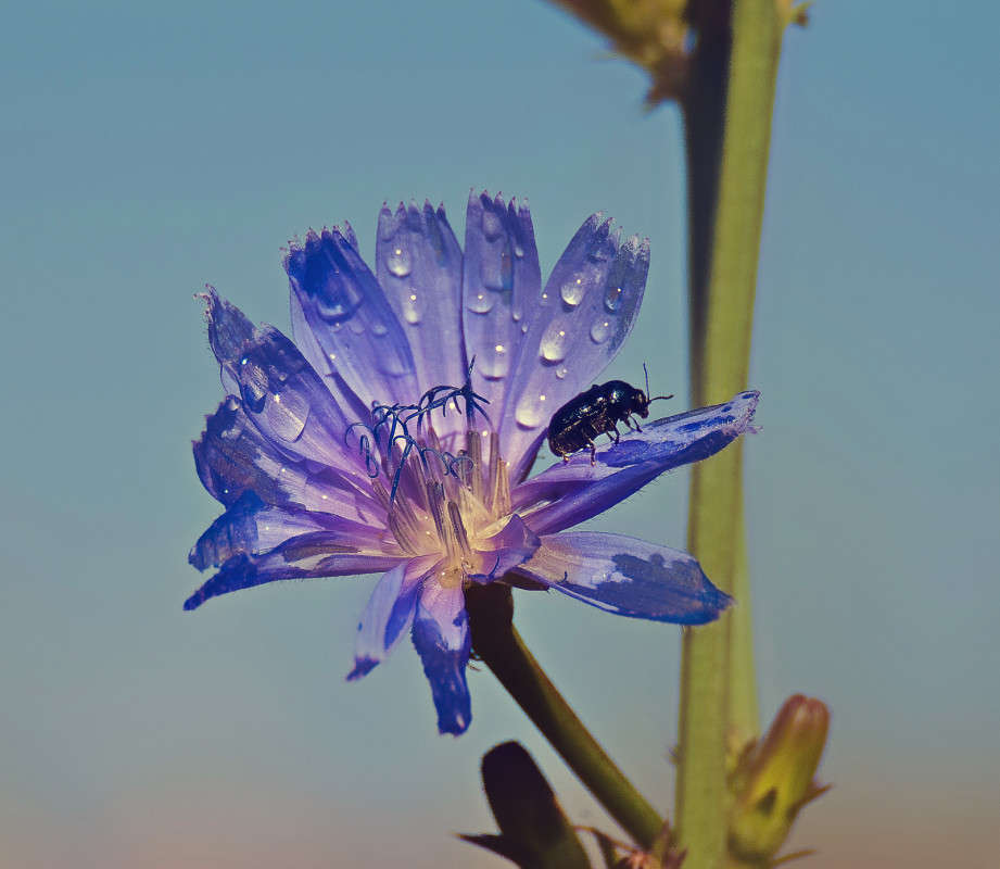 ������� � ���� �� ������ ����� ����� ������� �� PhotoGeek.ru #�����