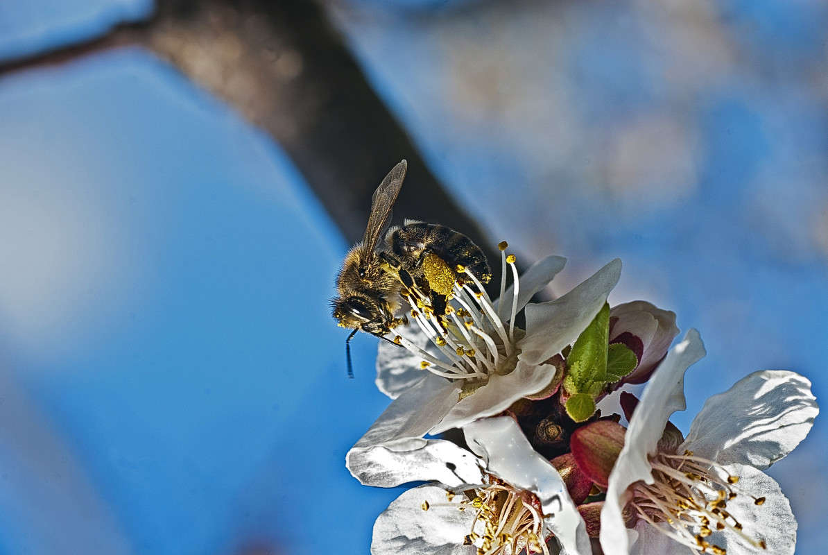 ������ ����� ����� ������� �� PhotoGeek.ru #�����