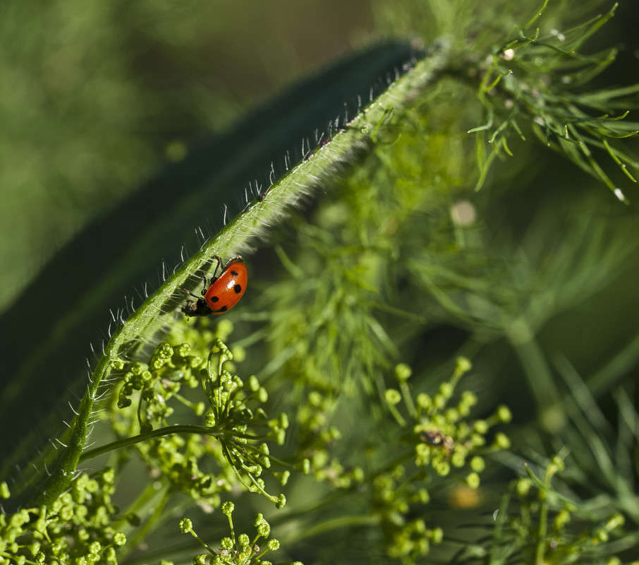 �������� ����� ����� ������� �� PhotoGeek.ru #�����