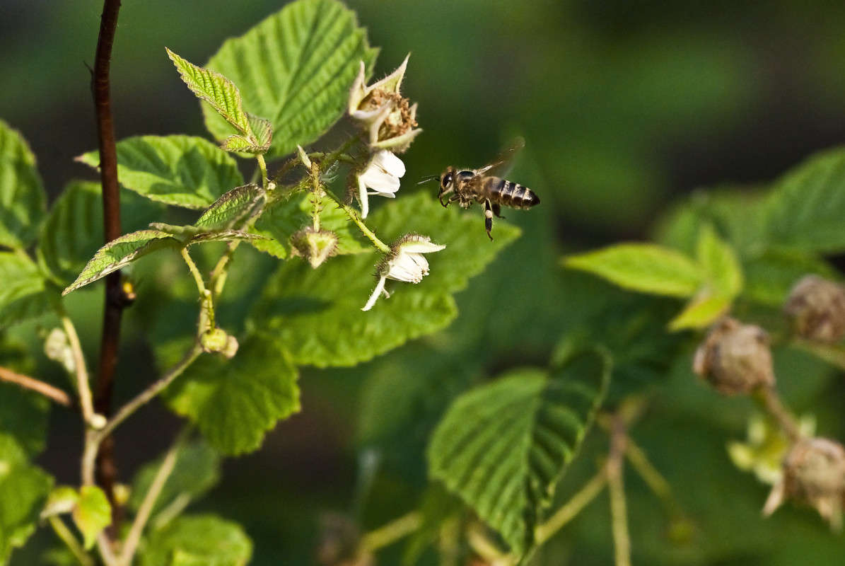 ....�� ������� ����� ����� ������� �� PhotoGeek.ru #�����