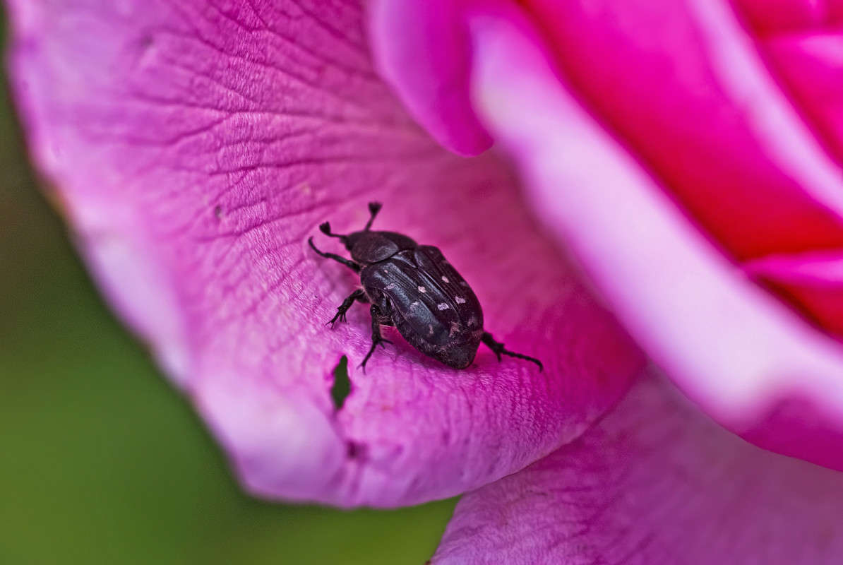 "������� �������" ����� ����� ������� �� PhotoGeek.ru #�����