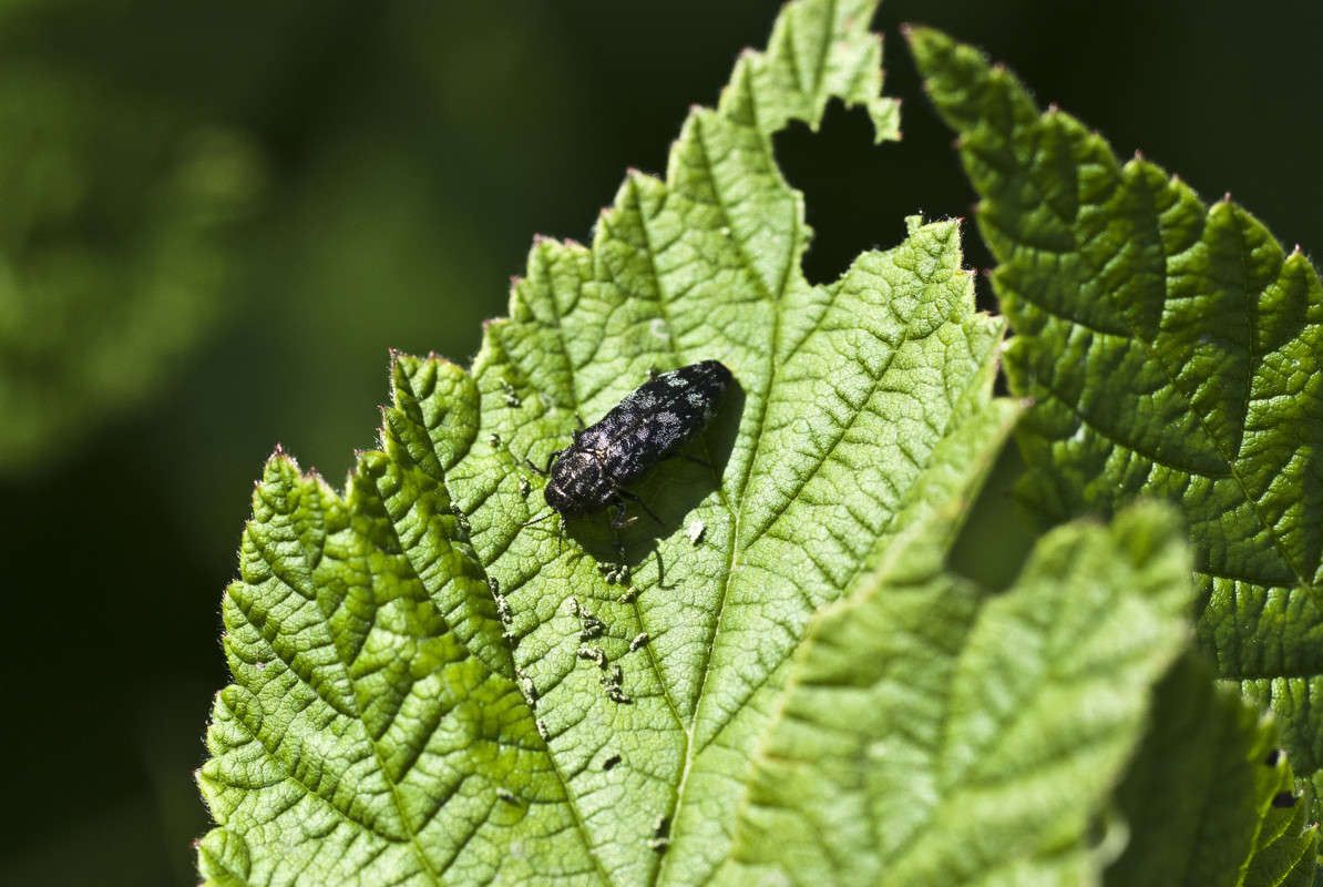 ...������ ������ �� ���� ����� ����� ������� �� PhotoGeek.ru #�����