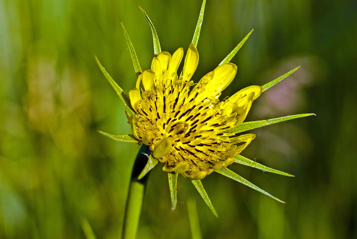 ��������� ����� ����� ������� �� PhotoGeek.ru #�����