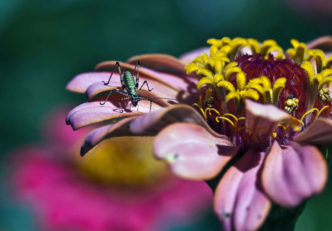 ����� ���� ����� ����� ������� �� PhotoGeek.ru #�����