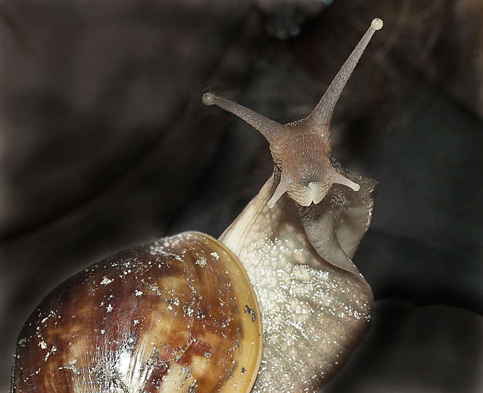 �������� ����� ����� ������� �� PhotoGeek.ru #�����