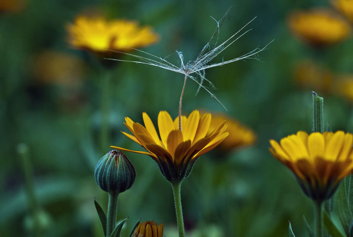 ����� �� ������ ����� ����� ������� �� PhotoGeek.ru #�����