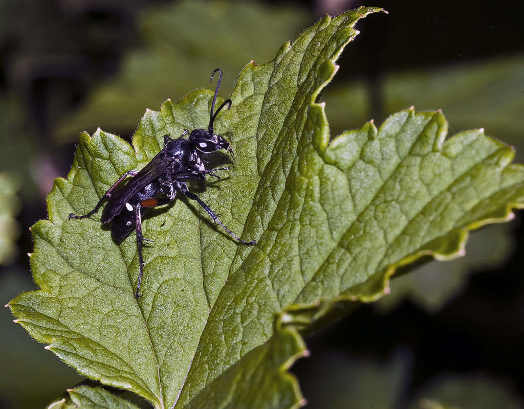 ����� ������ ������! ����� ����� ������� �� PhotoGeek.ru #�����