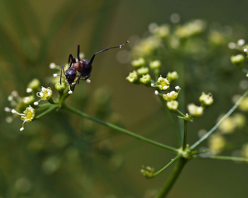 �� ���� ����� ����� ������� �� PhotoGeek.ru #�����