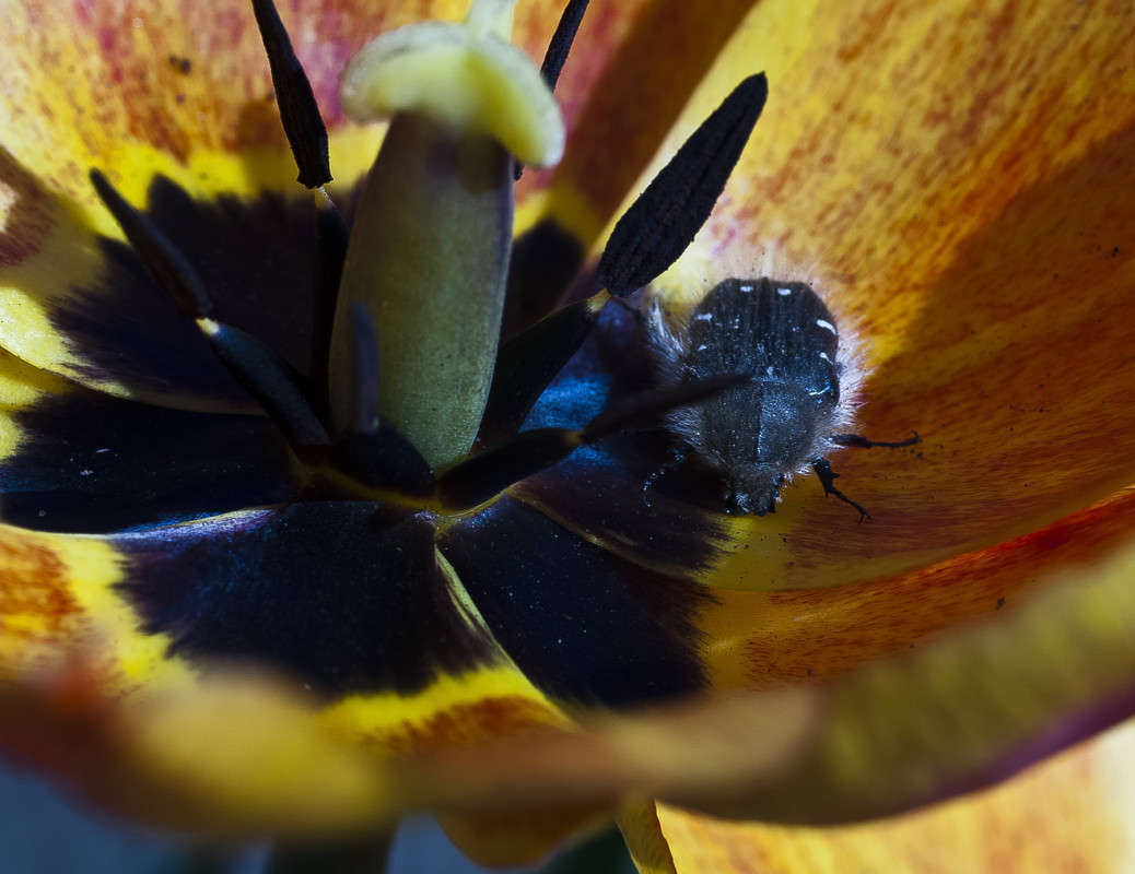 �� ��� ����� ����� ������� �� PhotoGeek.ru #�����