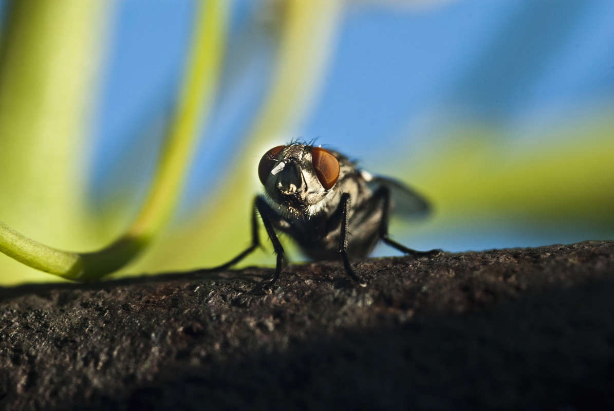 ������! ����� ����� ������� �� PhotoGeek.ru #�����