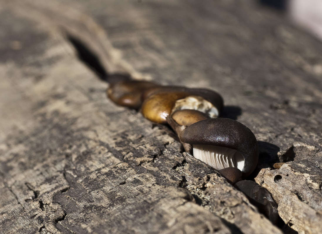 ���� � ����� ����� ����� ������� �� PhotoGeek.ru #������ ��� �������