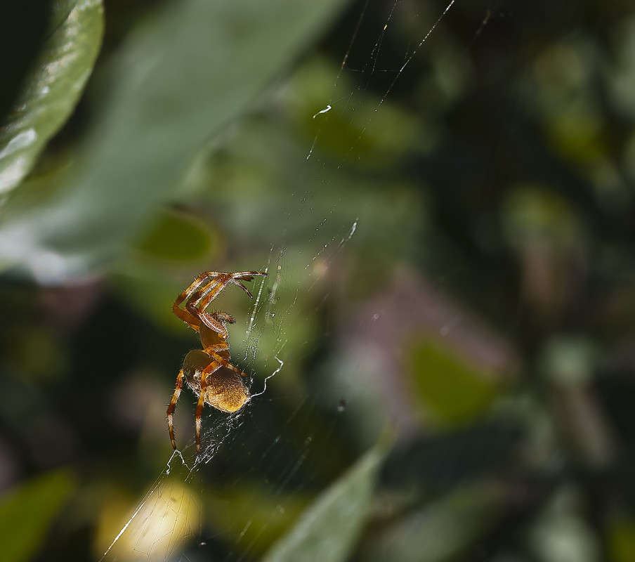 ��� ��� ������ ����� ����� ������� �� PhotoGeek.ru #�����