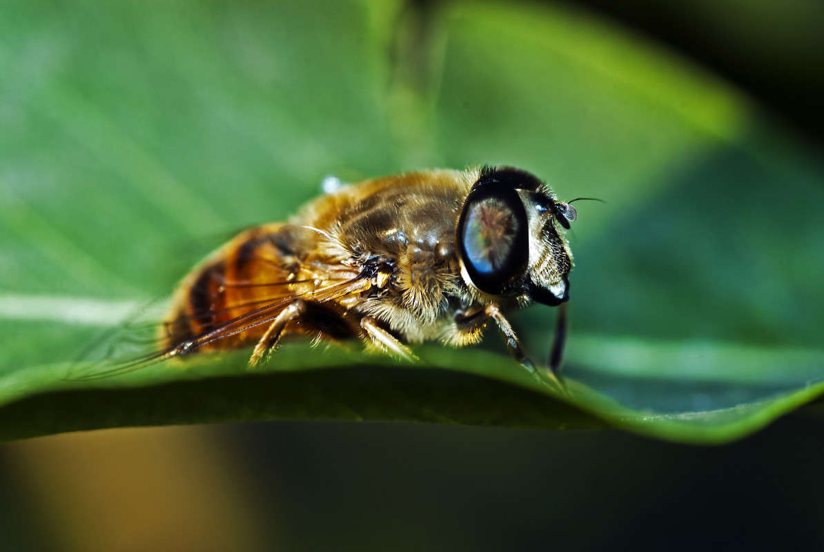 ��������� ����� ����� ������� �� PhotoGeek.ru #�����