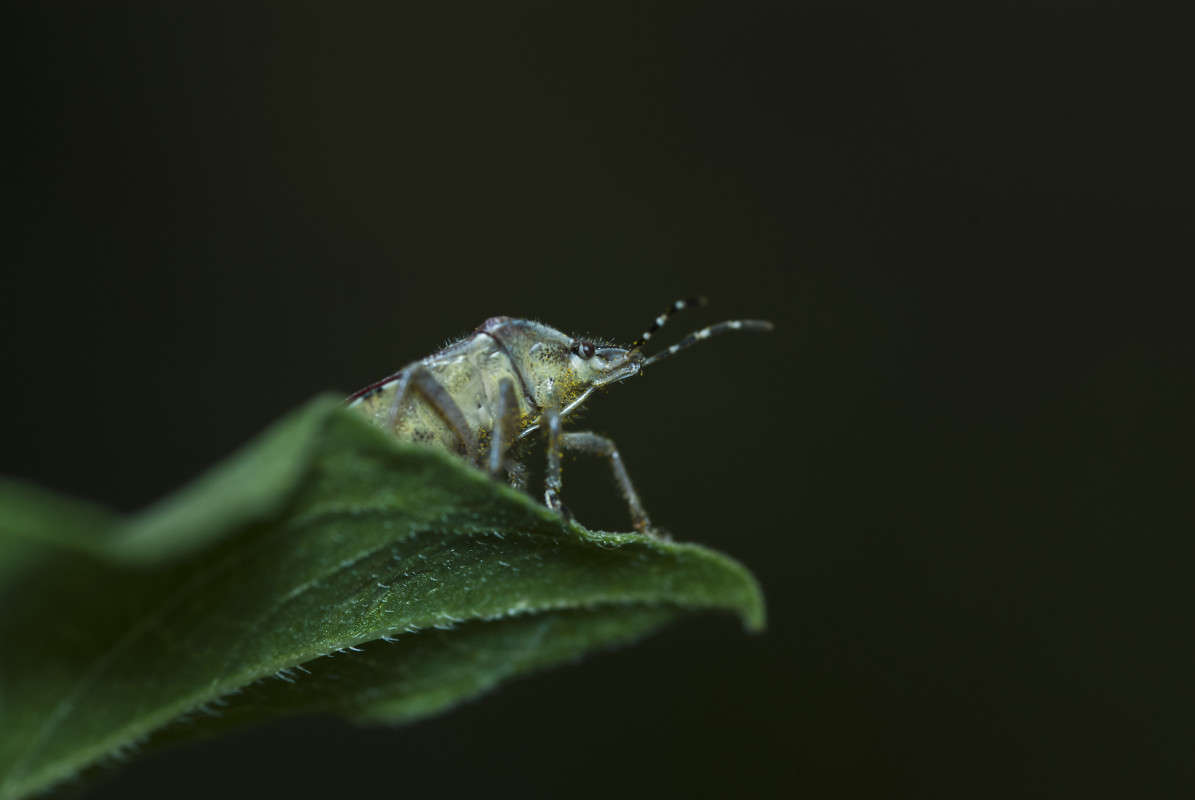 � ������ ����� ����� ������� �� PhotoGeek.ru #�����