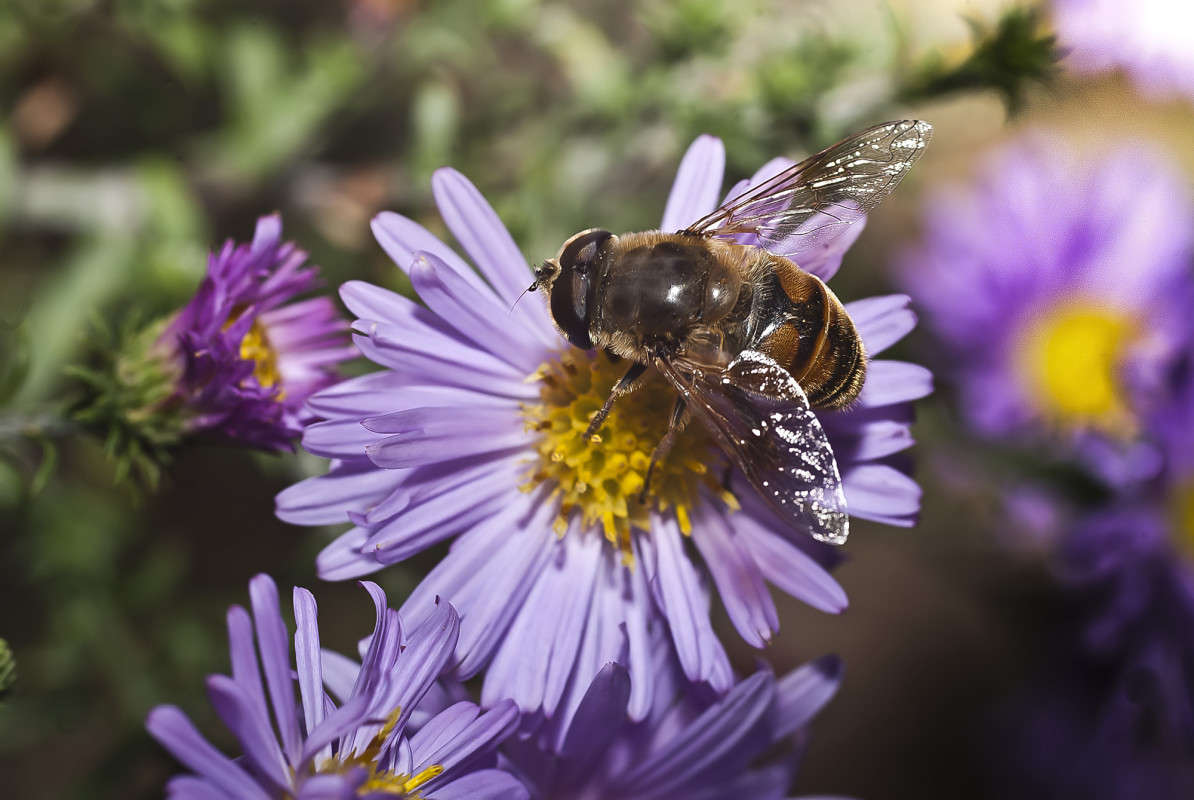 ������ ����� ����� ������� �� PhotoGeek.ru #�����